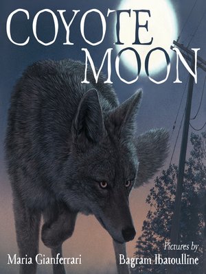 cover image of Coyote Moon